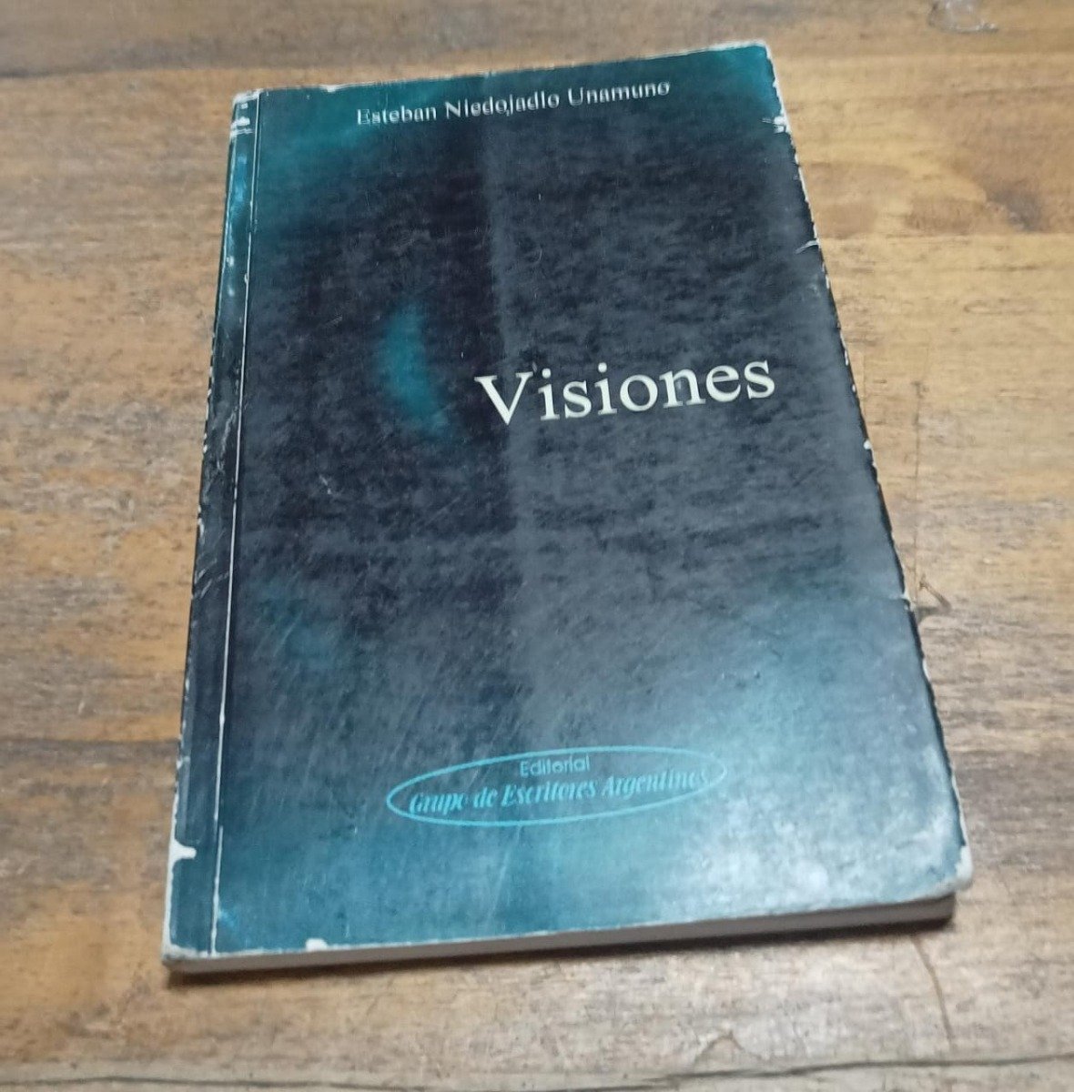 Visiones - Esteban Niedojadlo Unamuno